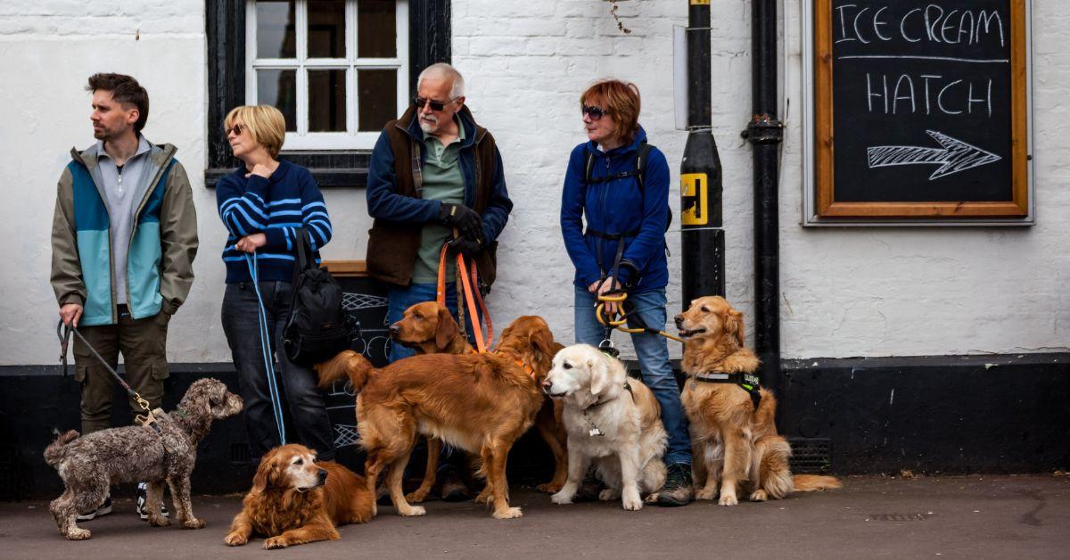 Photo of Dogs and Their Owners