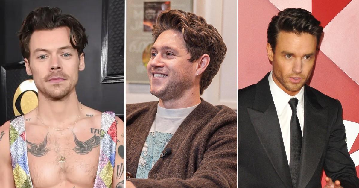 Liam Payne & Niall Horan Congratulate Harry Styles Grammy Win