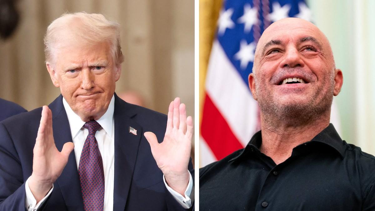 split of Joe Rogan & Donald Trump. 