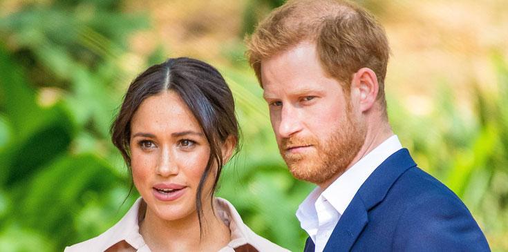 Prince Harry Meghan Markle Royal Split House of Windsor