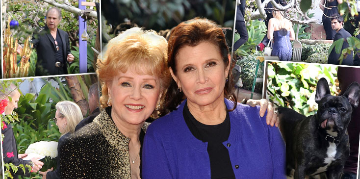 Carrie fisher debbie reynolds funeral memorial celebrity arrivals ok hero1%5bdzzh%5d