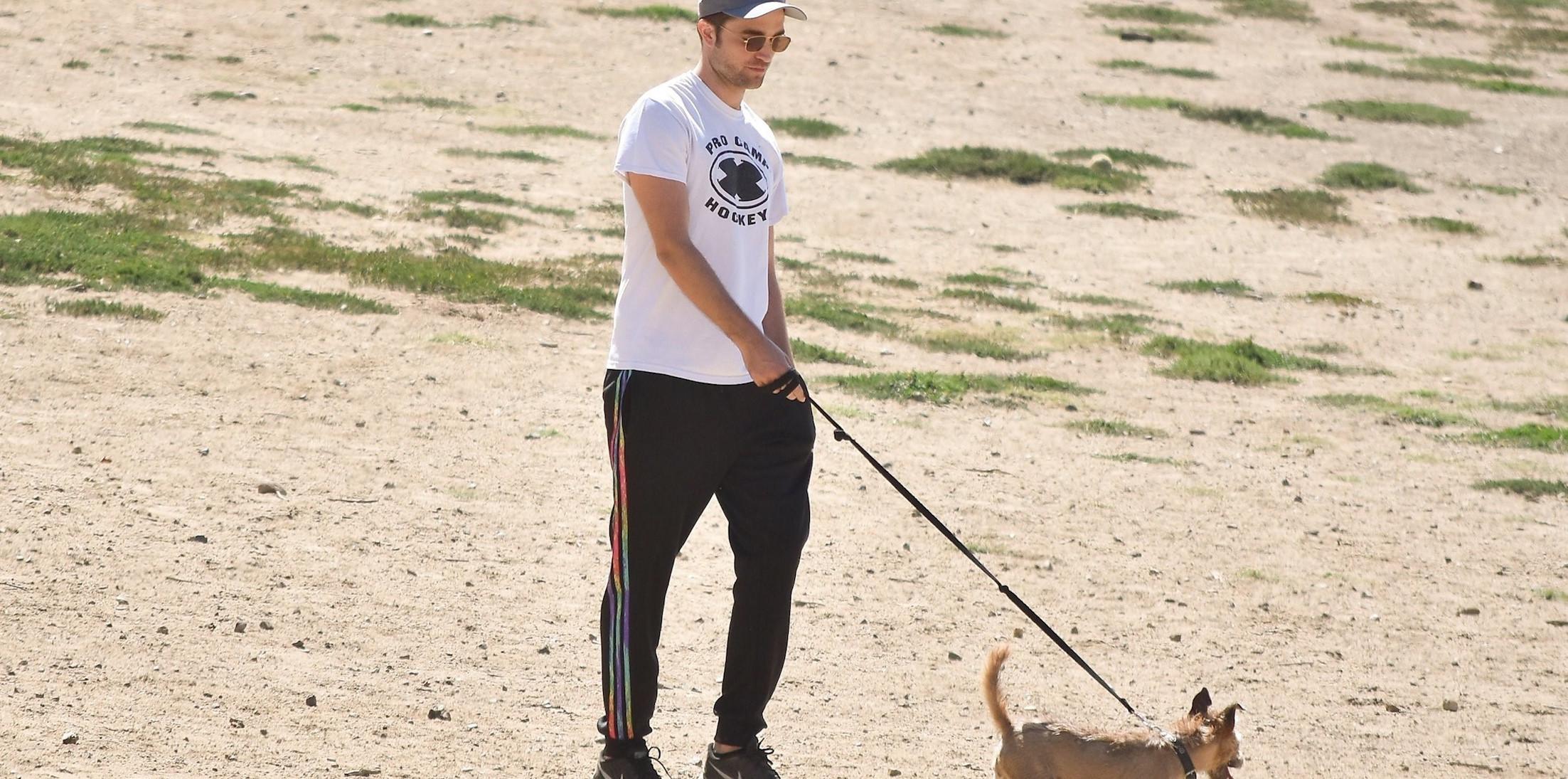 *EXCLUSIVE* Robert Pattinson walks his dog at the Laurel Canyon Dog Park