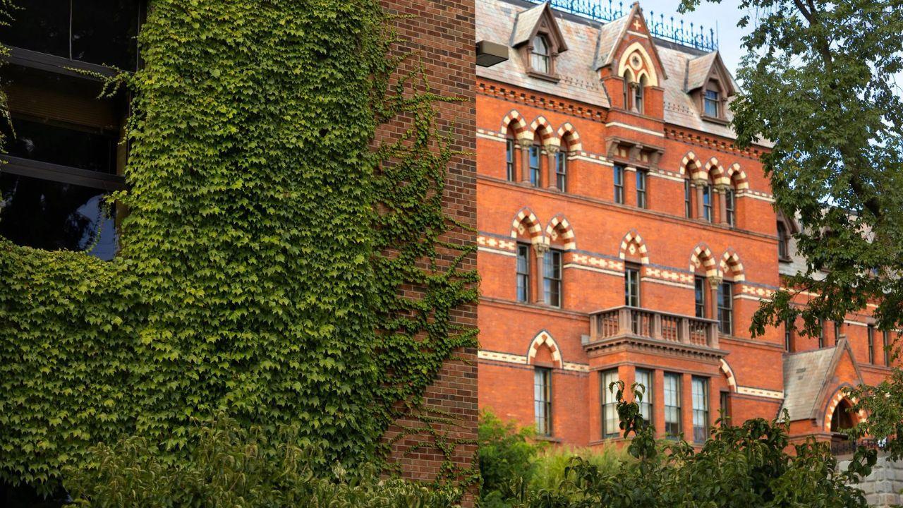 cornell  case explained everything to know