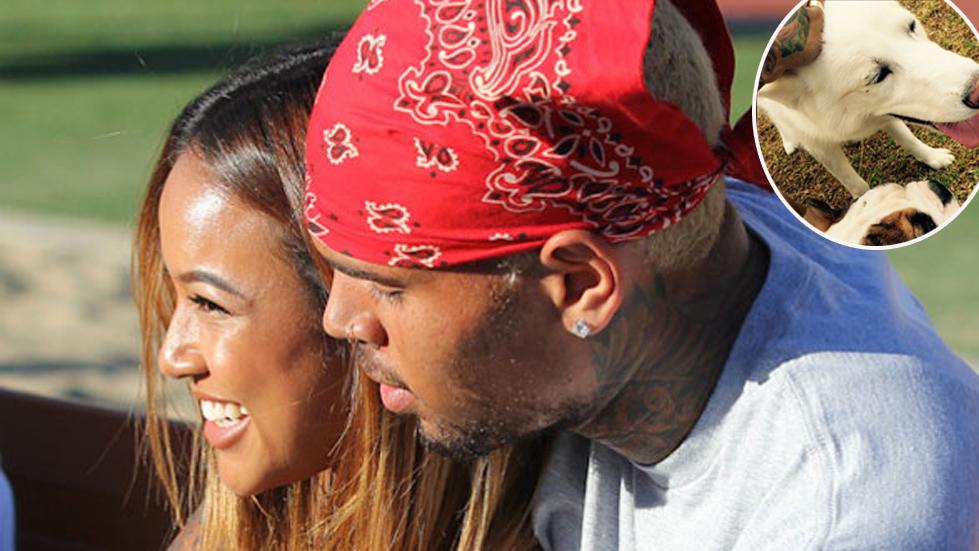 Chris Brown cuddles up to on/off girlfriend Karrueche Tran as th