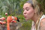 Kailyn lowry flamingo baby bump teaser.jpg