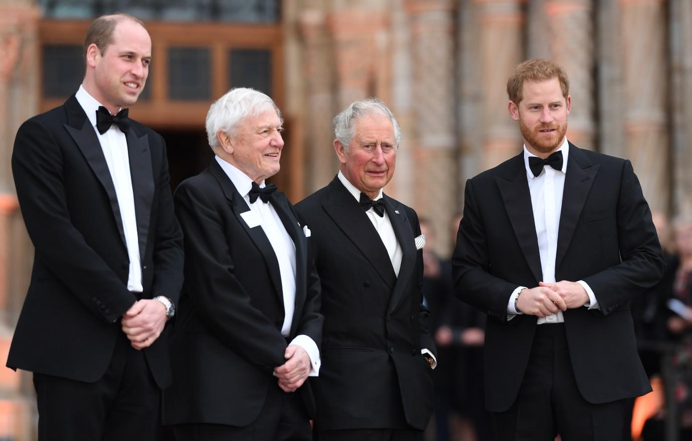 royals prince harry rejoin monarchy queen elizabeth dies