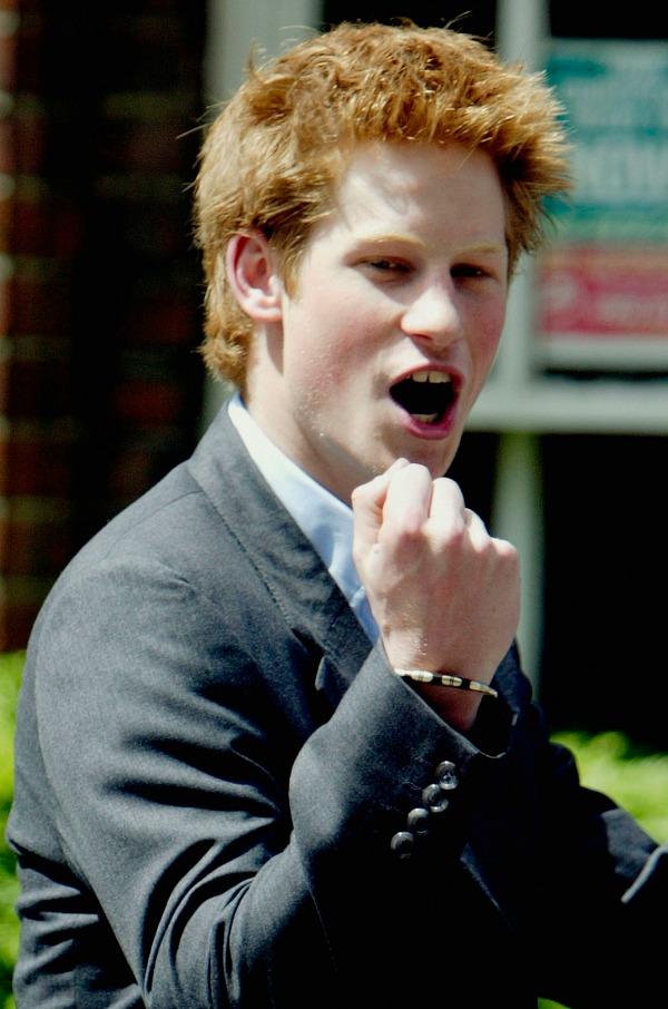 Prince harry cheer