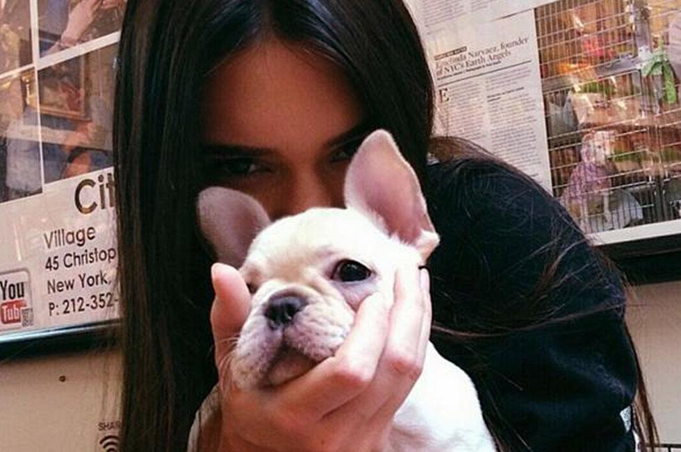Kendall Jenner Goes Puppy Shopping With Jaden Smith & Hailey Baldwin
