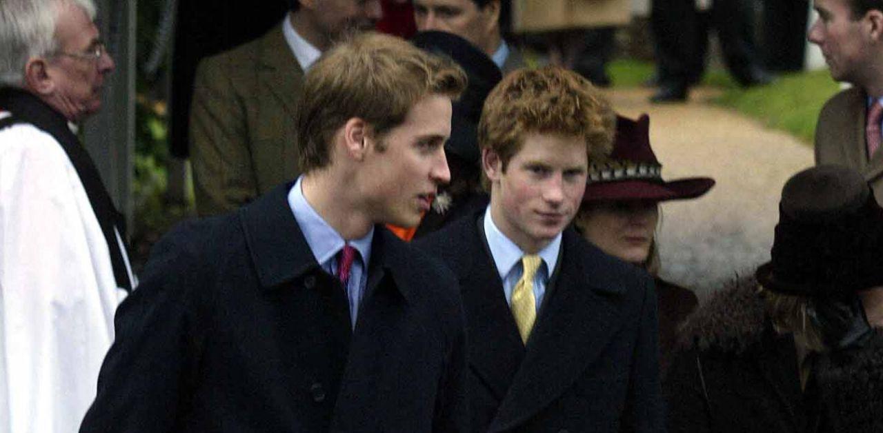 prince william labeled prince harry accident waiting happen