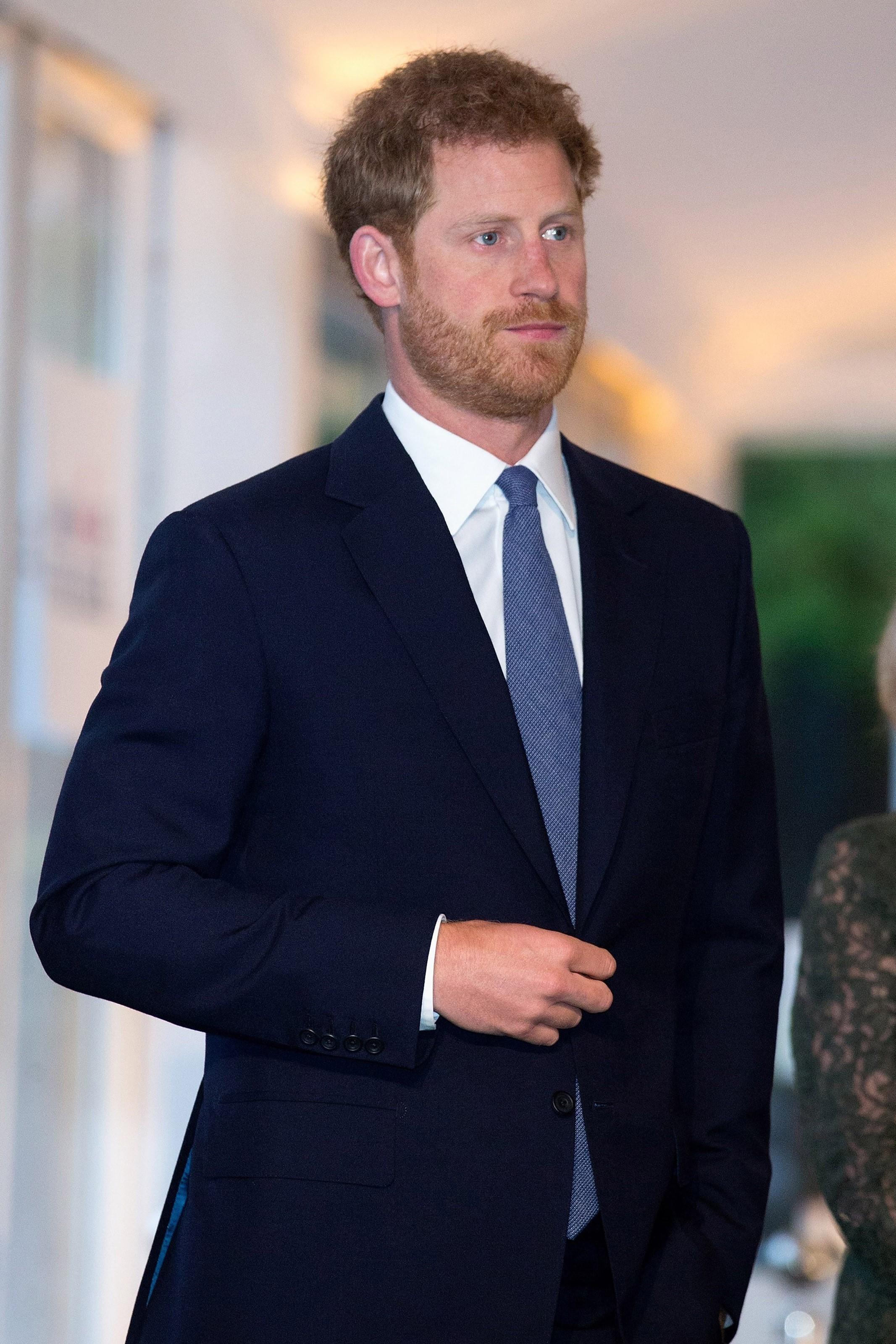 Prince Harry attends Land Mine Free event as a speaker