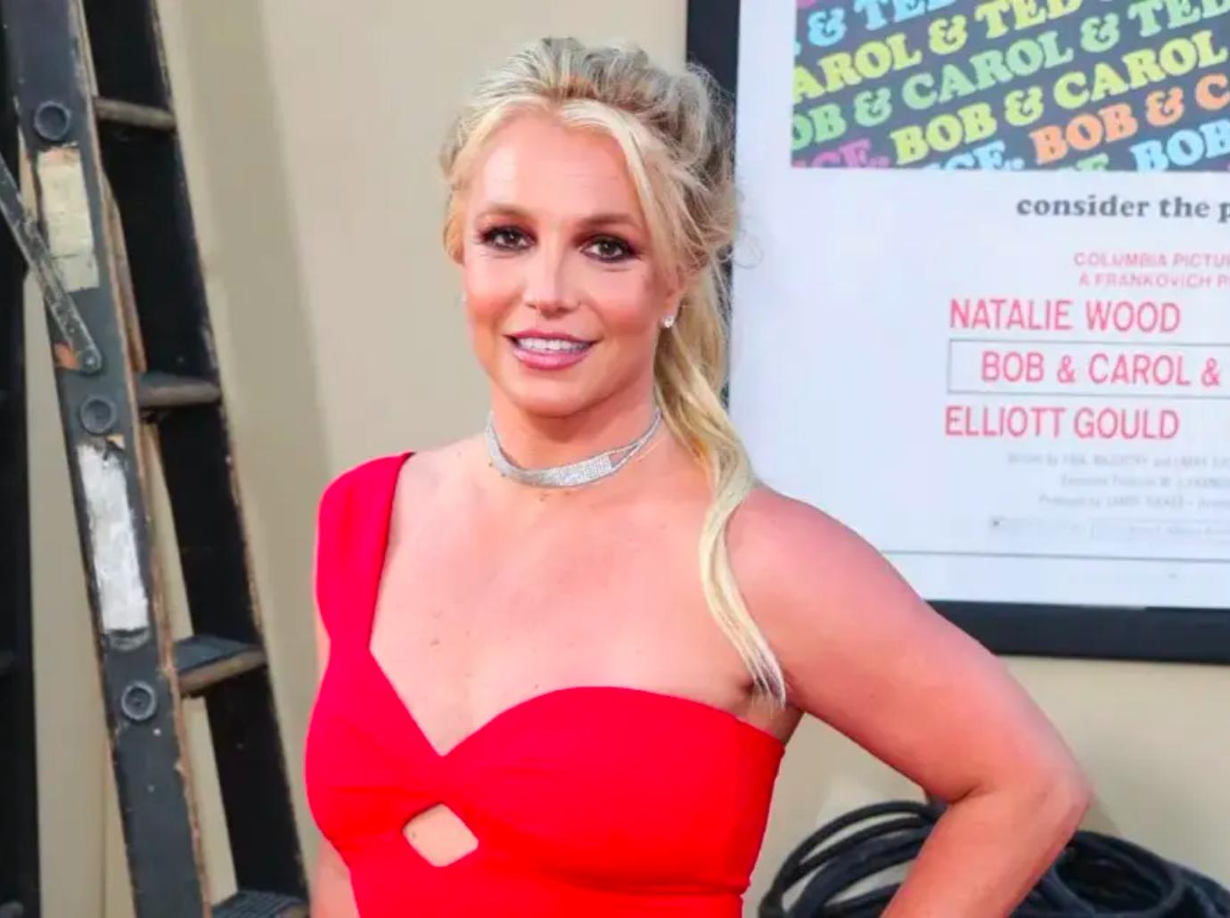 Britney Spears' boobs burst out of her sports bra as she performs seductive  workout in her back garden - Irish Mirror Online