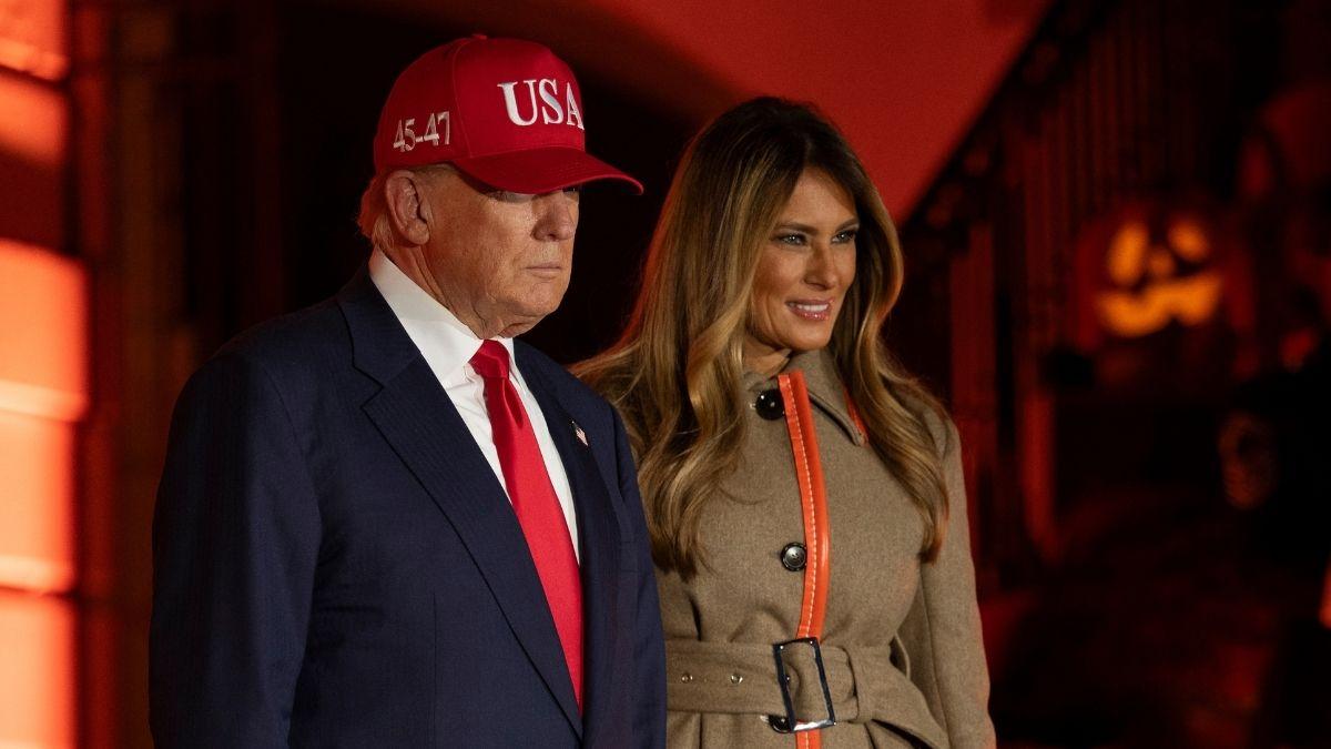 did jeffrey epstein really introduce donald melania trump