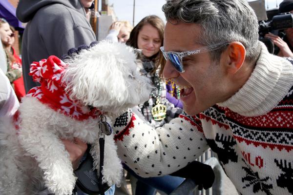 Andy cohen