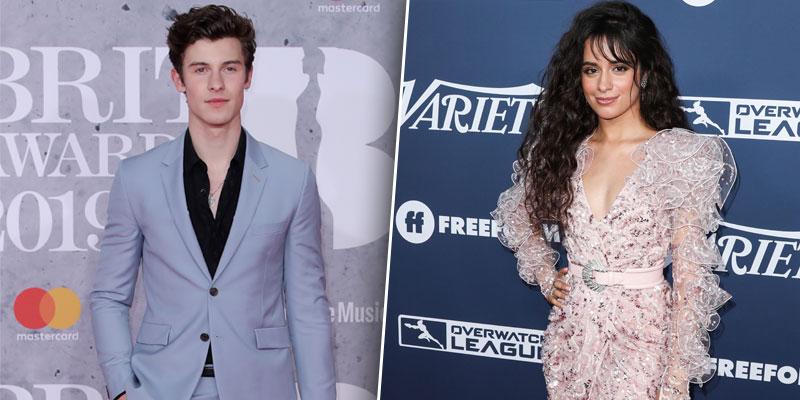 See Shawn Mendes' Birthday Tribute to Girlfriend Camila Cabello