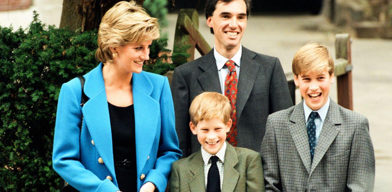 princess diana dream prince harry prince william close wont happen