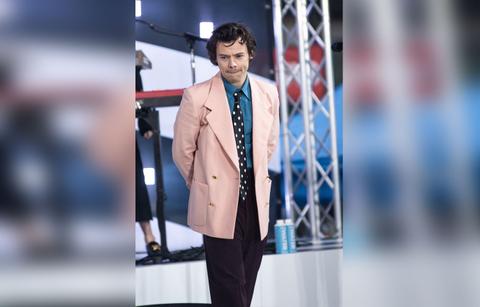 harry styles style icon