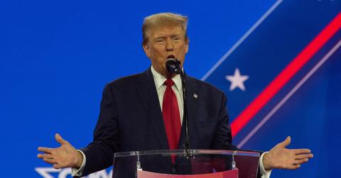 donald trump ramble languages