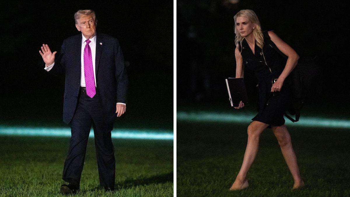 who is natalie harp donald trump loyal aide