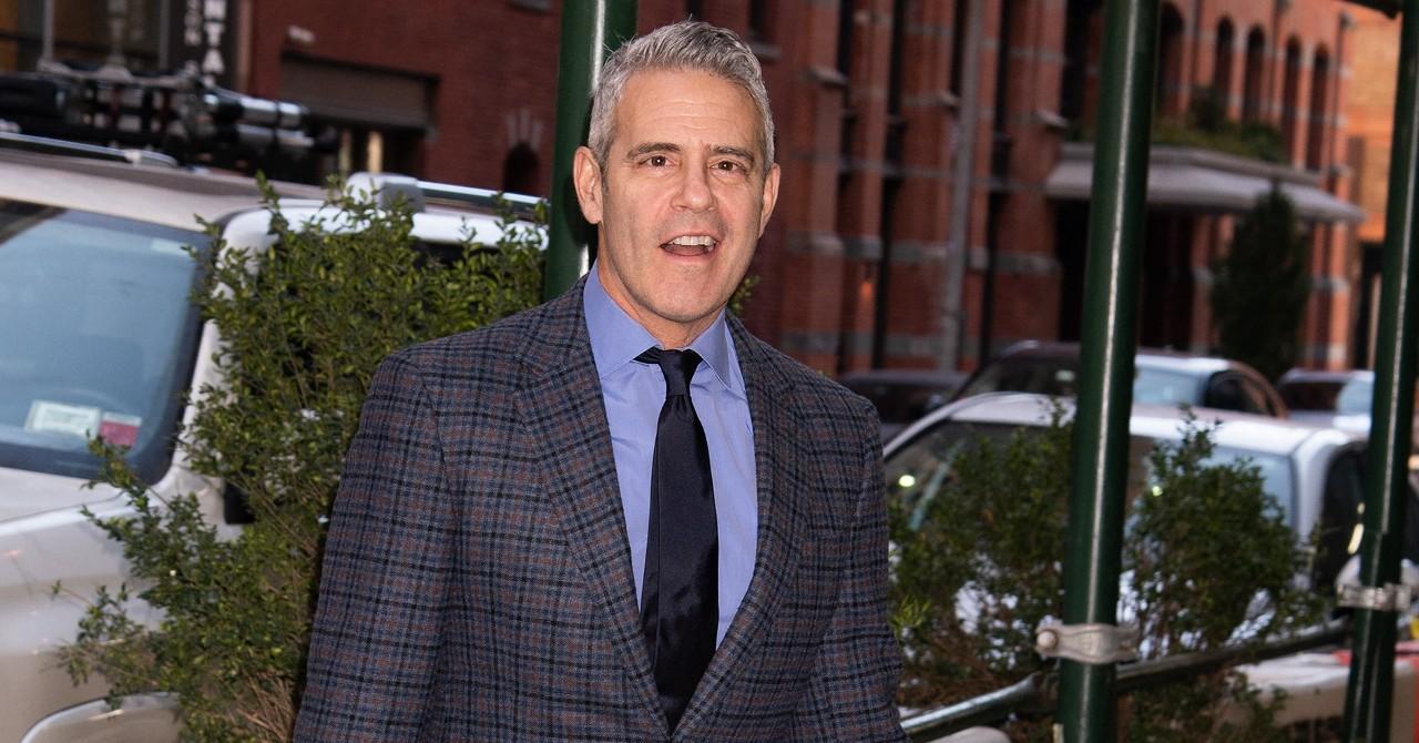 Leah Mcsweeney Slammed For Filing 'thirsty' Lawsuit Against Andy Cohen