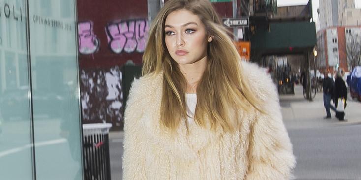 Gigi hadid slams twitter hater dating HR