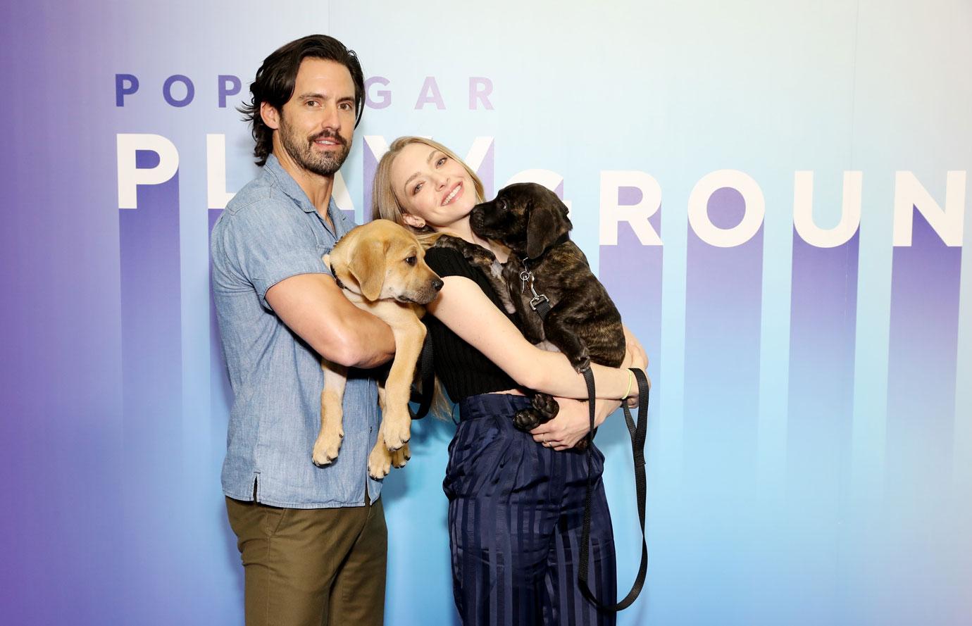 milo ventimiglia and amanda seyfried holding dogs