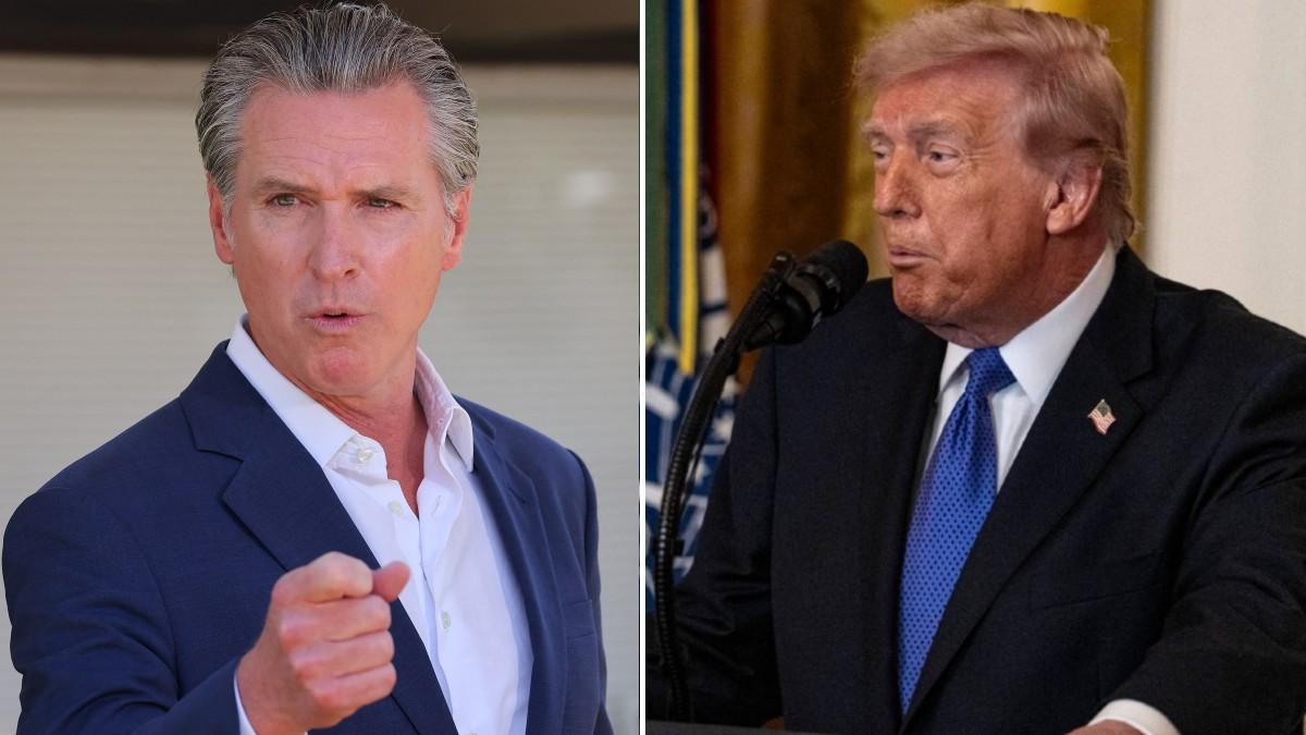 split of Gavin Newsom and Donald Trump. 