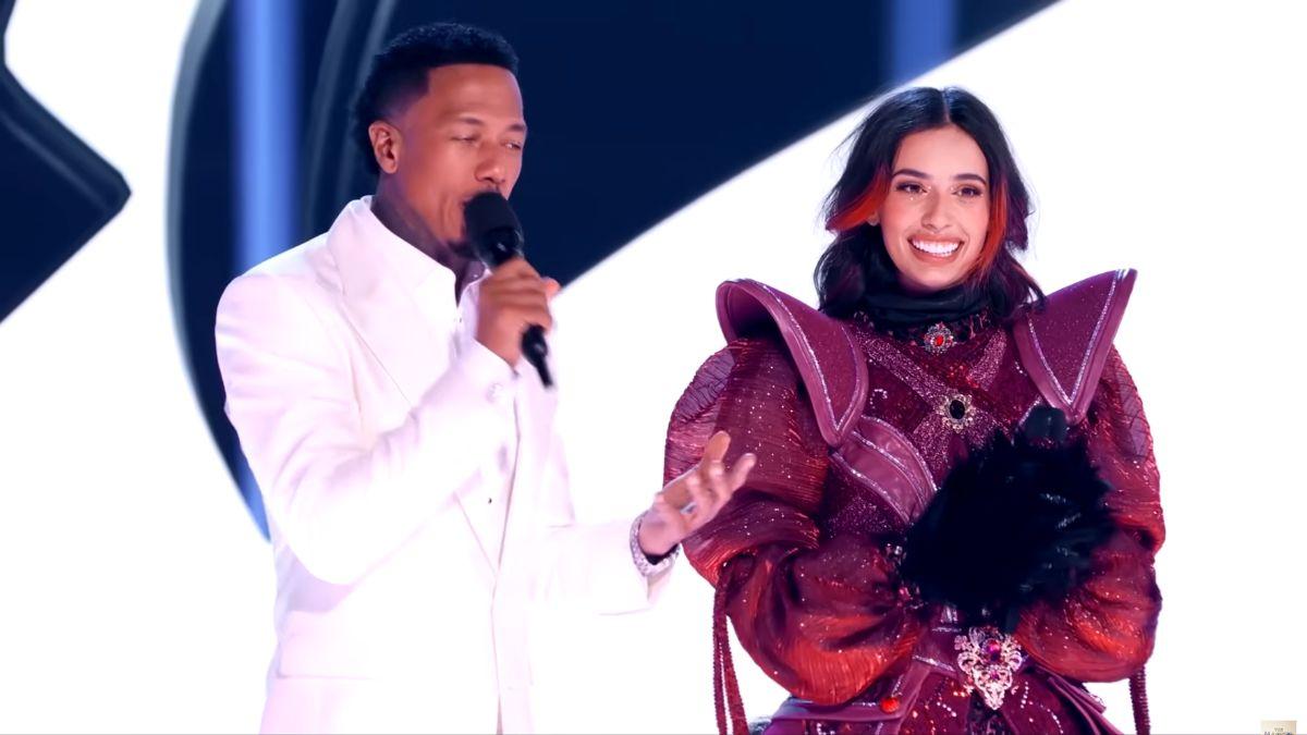 Image of 'The Masked Singer' paused during its finale reveal.