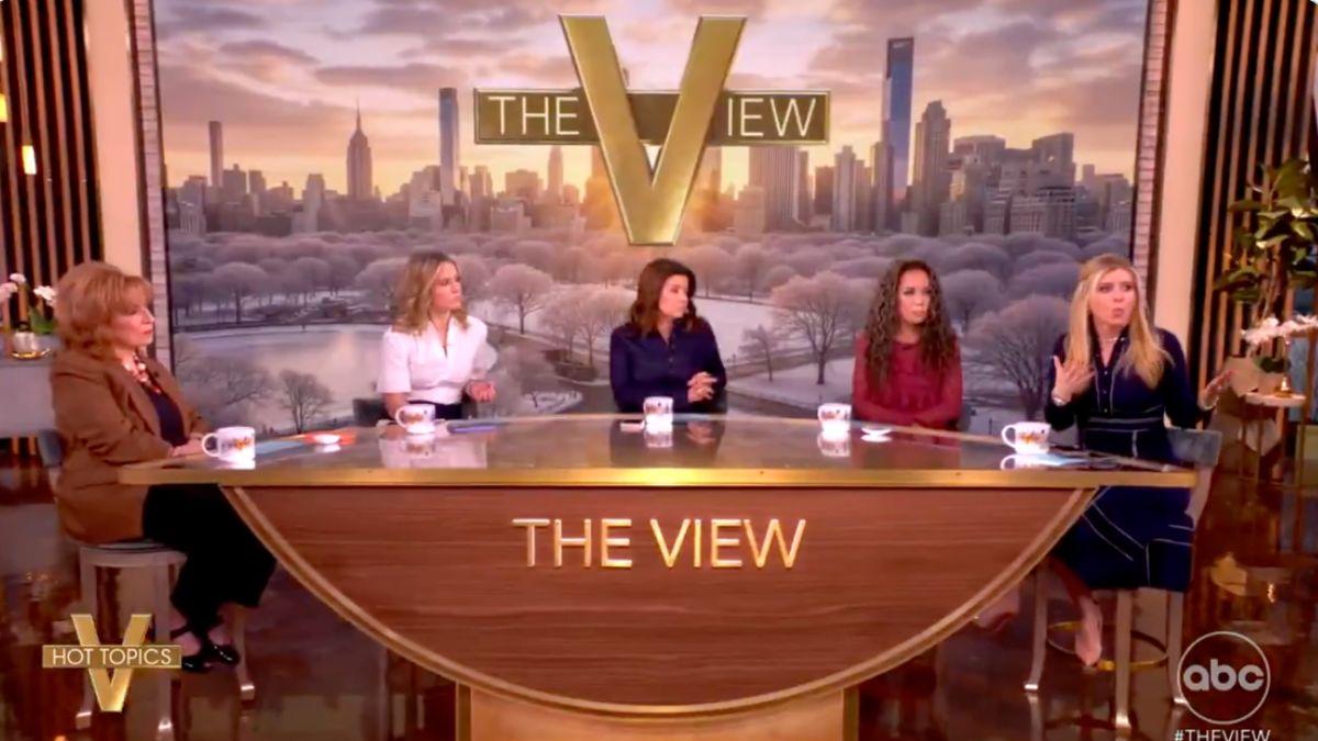 Photo of Sara Eisen admitted she likes 'getting into it' with 'The View' co-hosts.