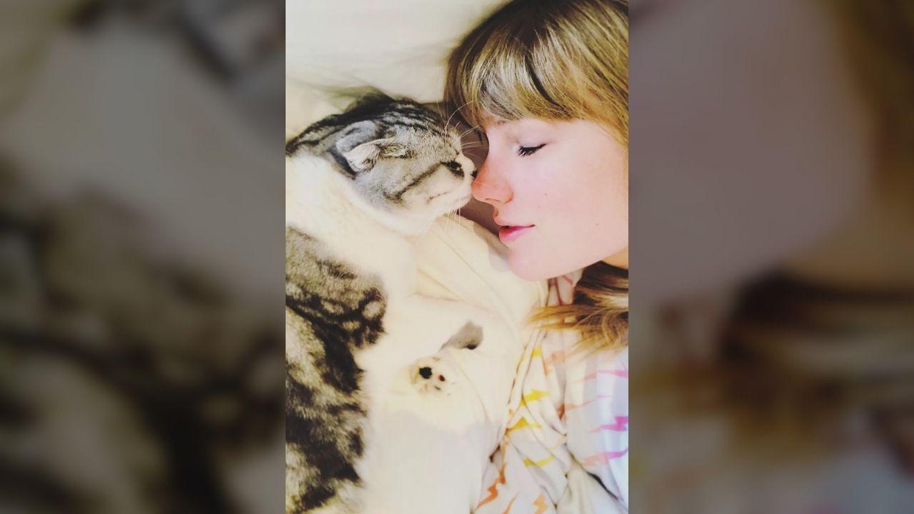 Taylor Swift