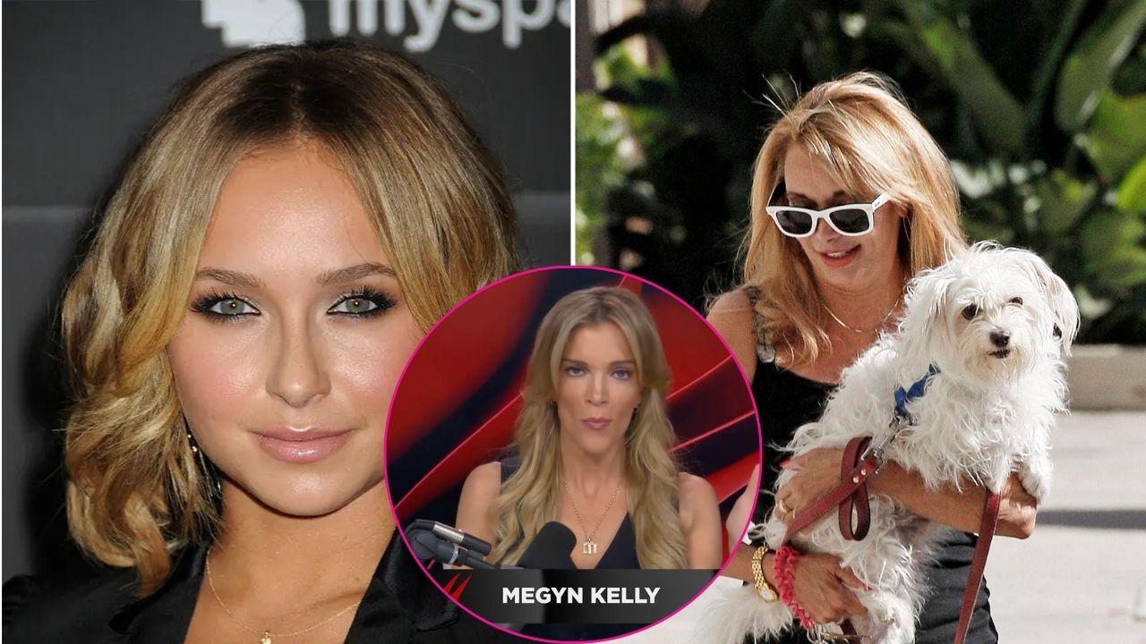 image of megyn Kelly, Hayden Panettiere, Lesley Vogel