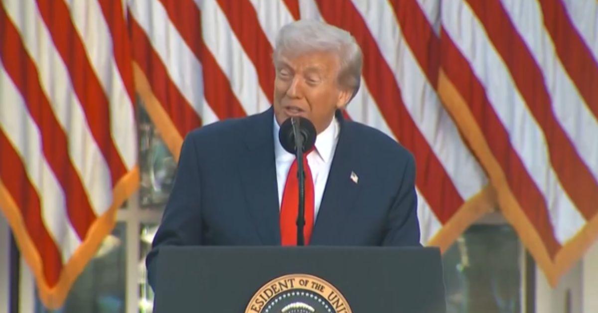 fans react trump gray hair