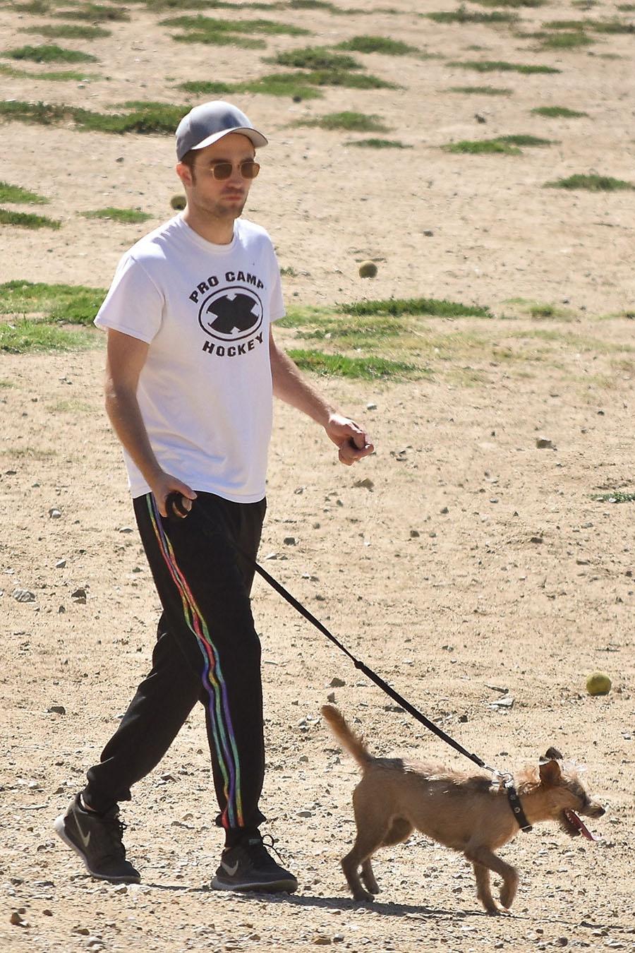 *EXCLUSIVE* Robert Pattinson walks his dog at the Laurel Canyon Dog Park