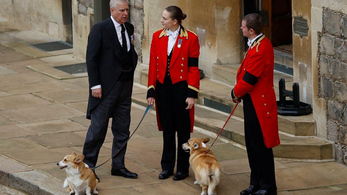 Photo of Ex-Prince Andrew and Queen Elizabeth's corgis.