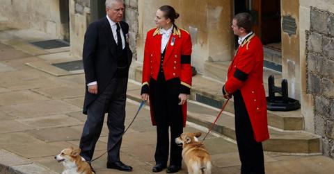 Photo of Ex-Prince Andrew and Queen Elizabeth's corgis.
