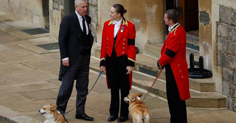 Image of Ex-Prince Andrew inheriting Queen Elizabeth's corgis