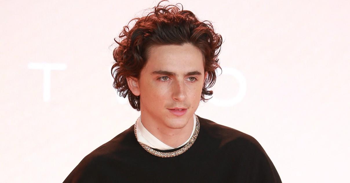 timothee chalamet doesnt want his relationship with kylie jenner overshadow career