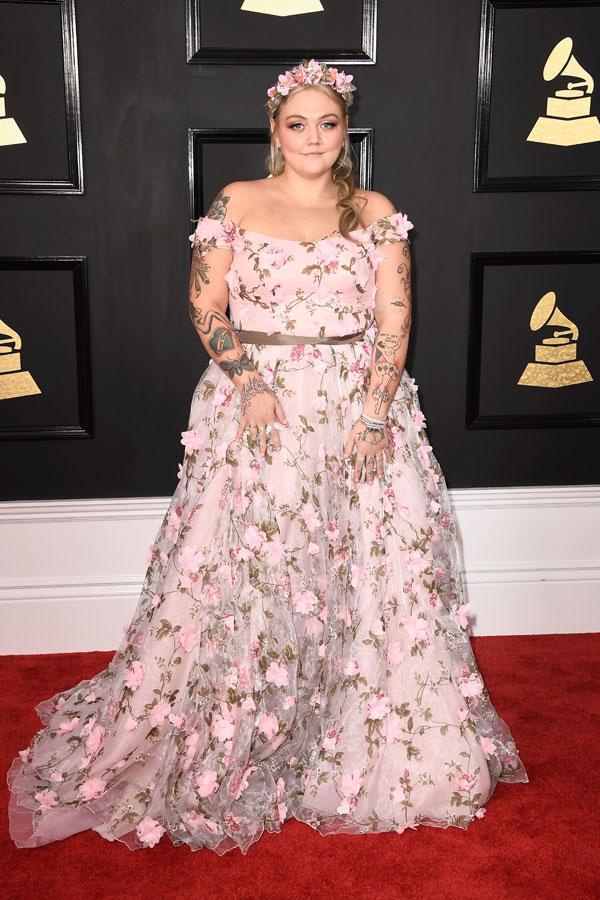 Grammys red carpet photos 2017 17