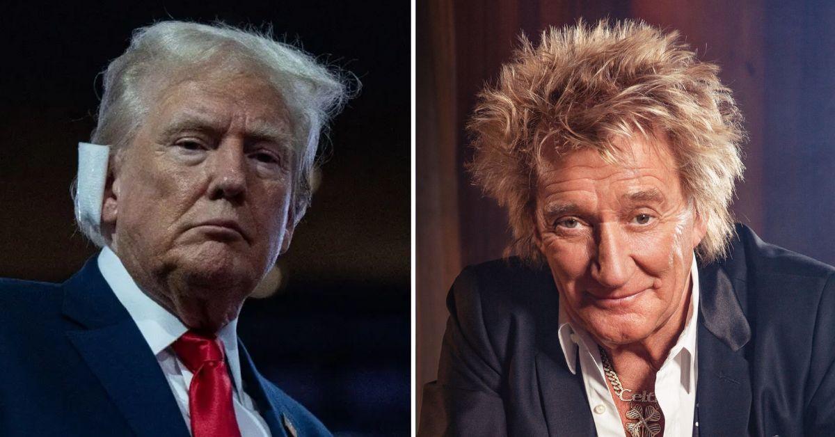 Composite photo of Donald Trump and Rod Stewart