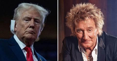 Composite photo of Donald Trump and Rod Stewart
