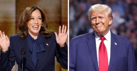 harris v trump who celebrities are siding with ahead of the presidential election