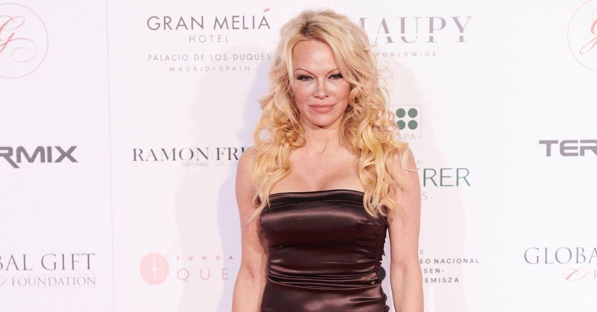 pamela anderson dan hayhurst nothing in common divroce