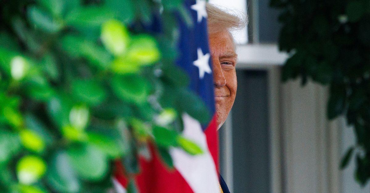photo of Donald Trump hiding behind an American flag