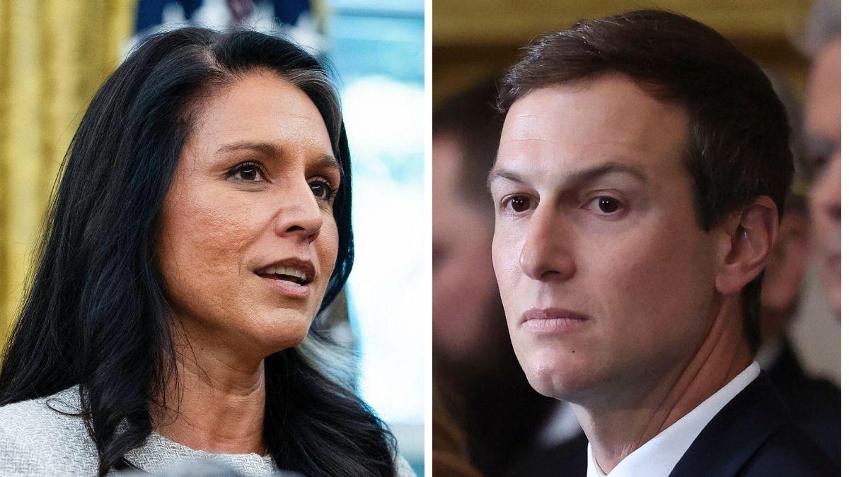 split photo of tulsi gabbard and jared kushner