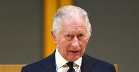 eccentric king charles travels teddy bear chef