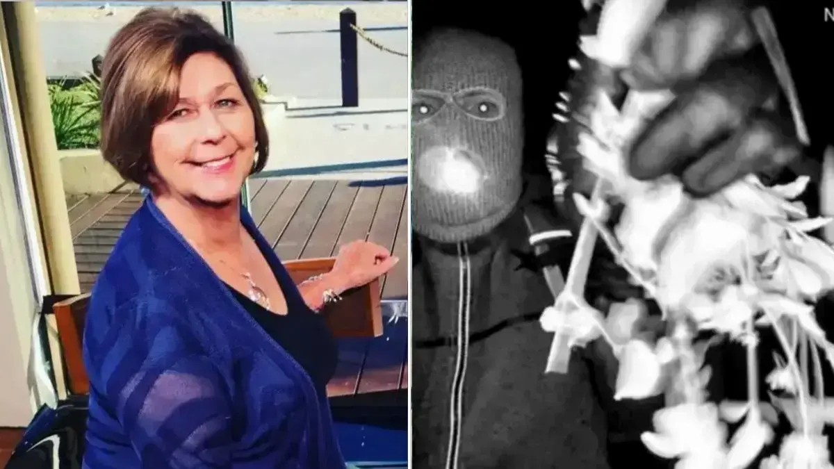 split of Nancy Guthrie & suspect. 