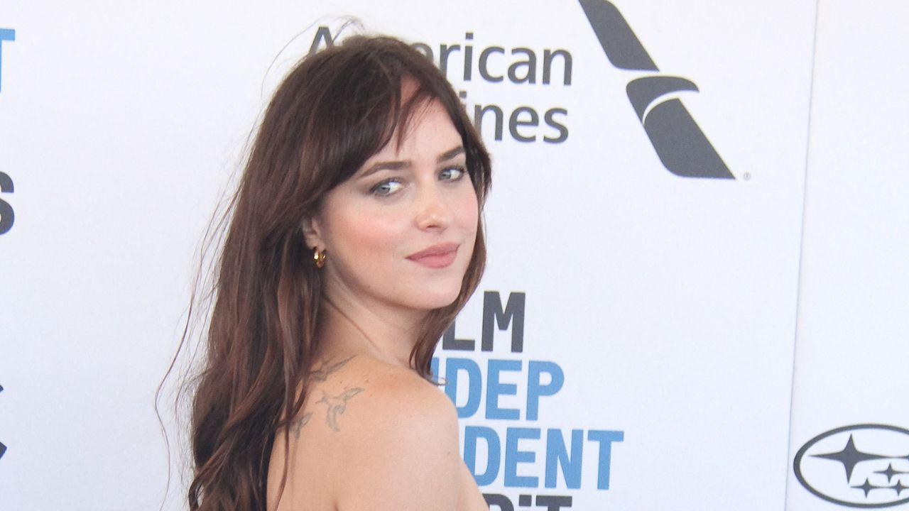 image of Dakota Johnson was also linked to Role Model earlier this year.