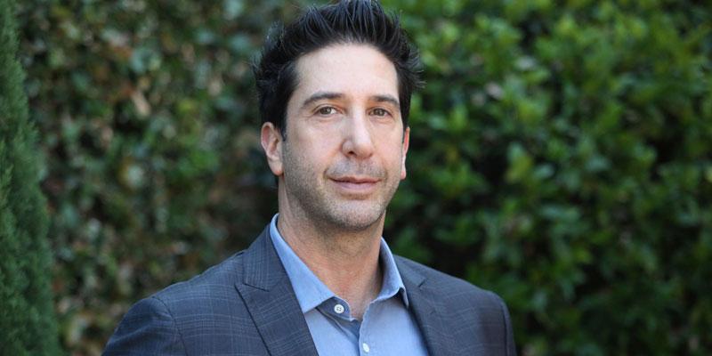 david schwimmer