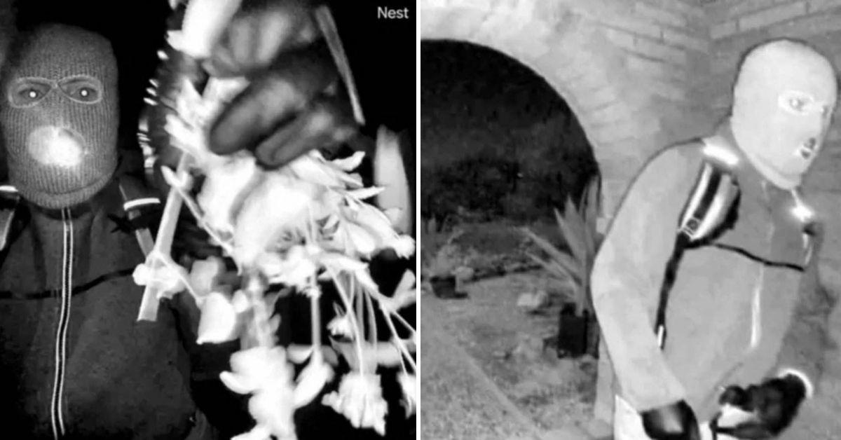 image of A masked suspect was seen on Nancy Guthrie's doorbell camera.