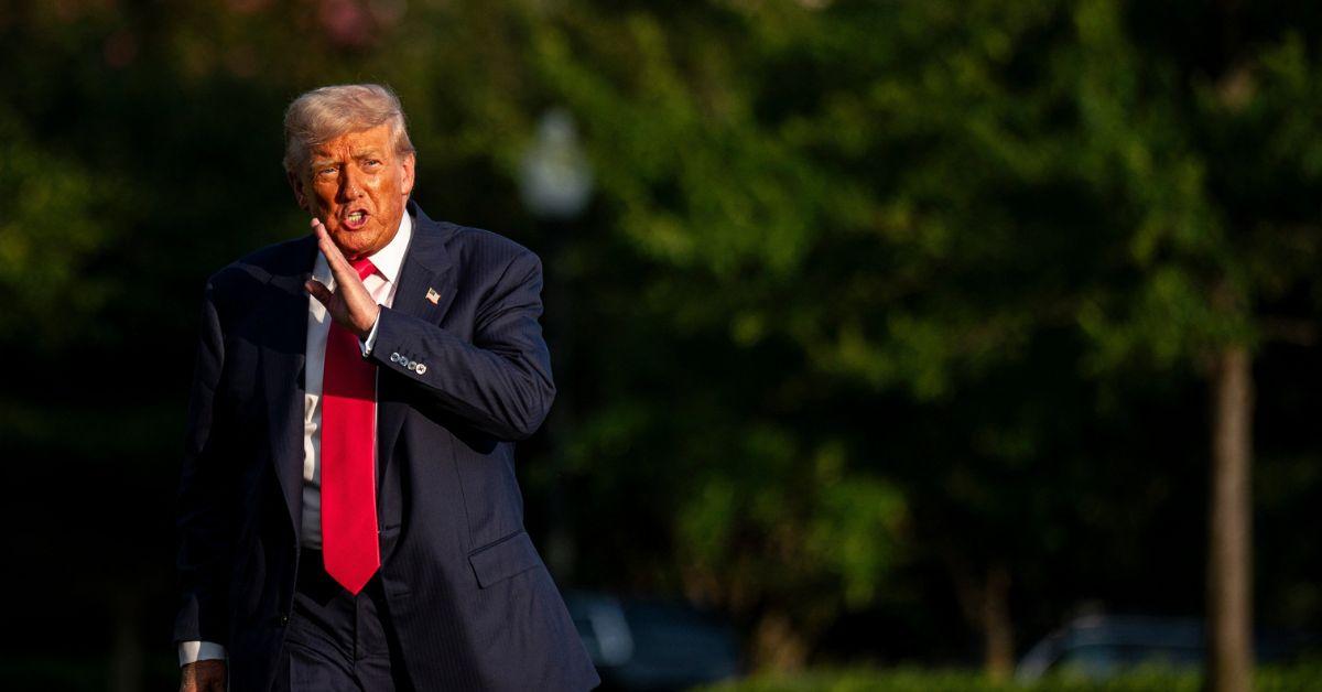 photo of Donald Trump allegedly told a friend, 'They say I killed Epstein'