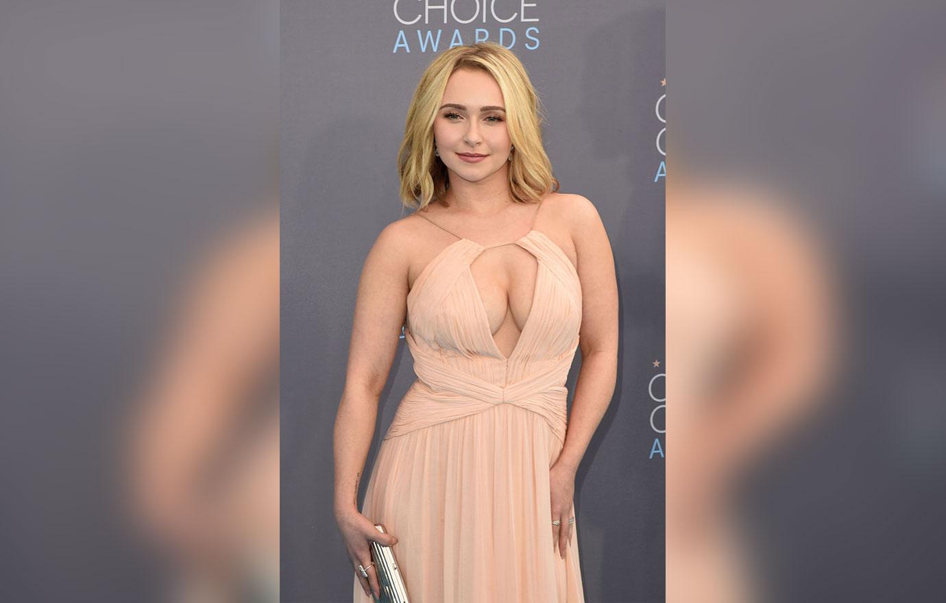 Hayden Panettiere Brian Hickerson Felony Domestic Violence Charges